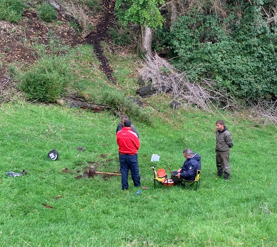 servicio prospec3_AE