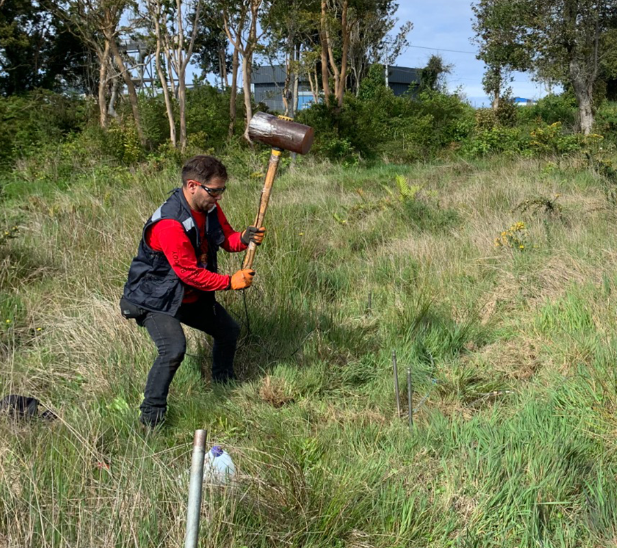 servicio prospec4_AE